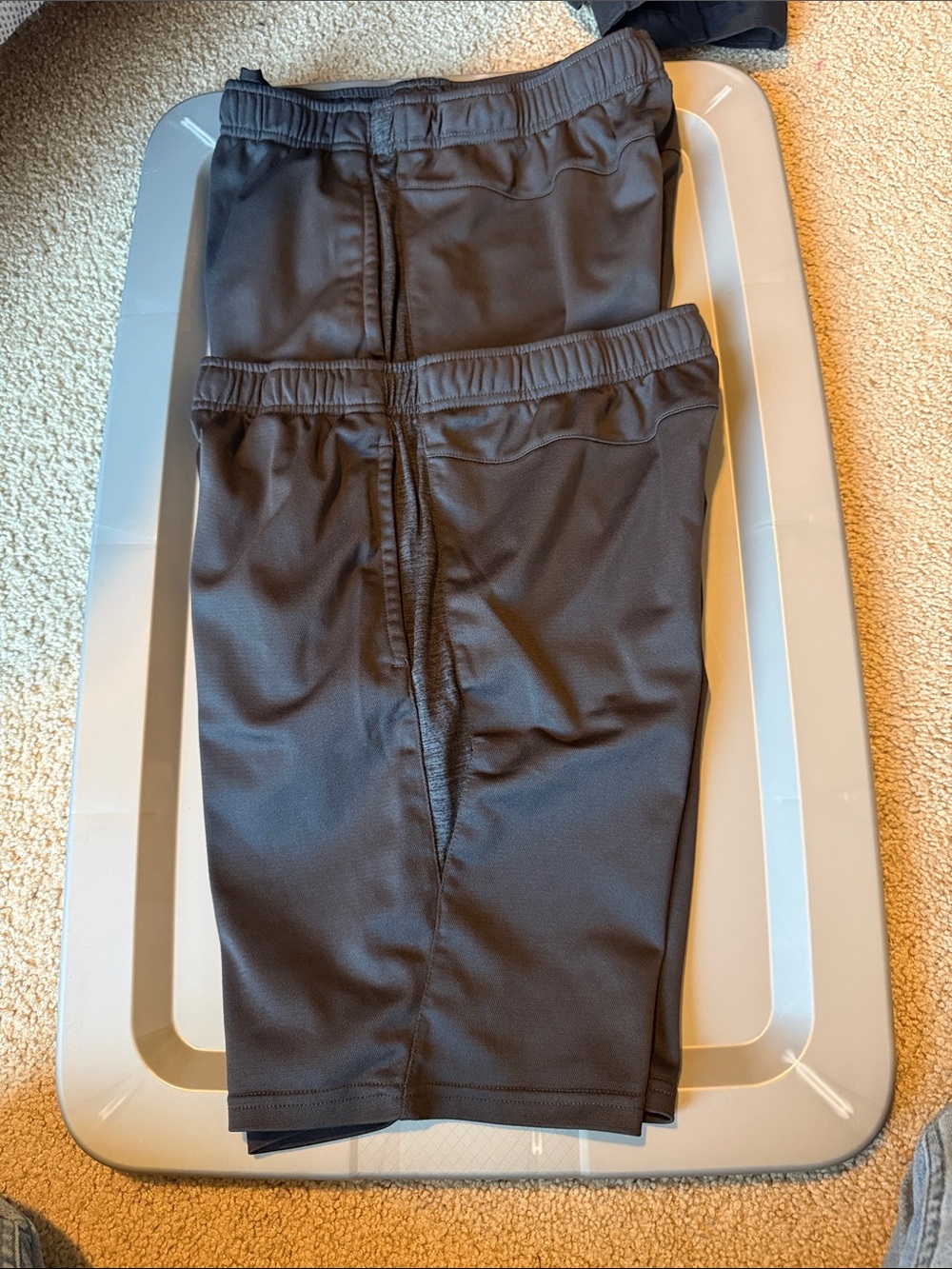 2 pairs men’s medium shorts